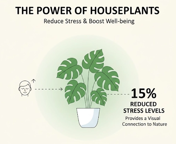 Houseplants