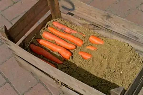 Sand Storage Method