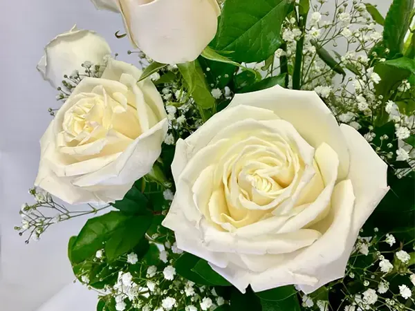 Symbolism of pearl-toned blooms