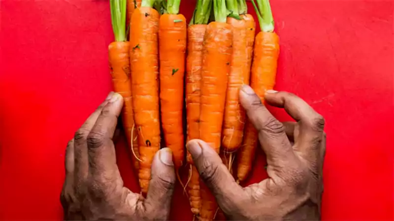 d-How to Store Carrots
