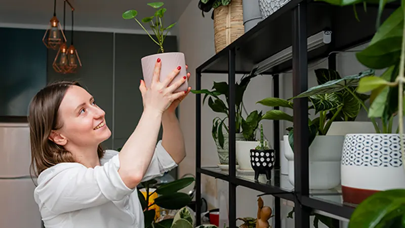 d-Indoor Air Quality