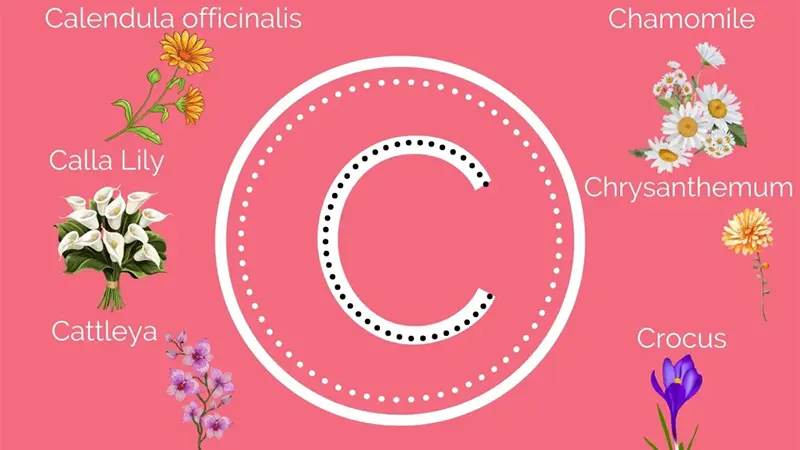 d-Plants That Start With C