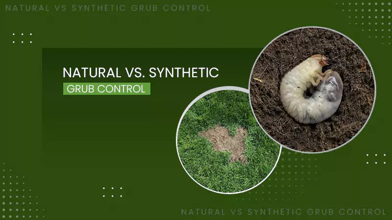 natural vs. Synthetic Grub Control