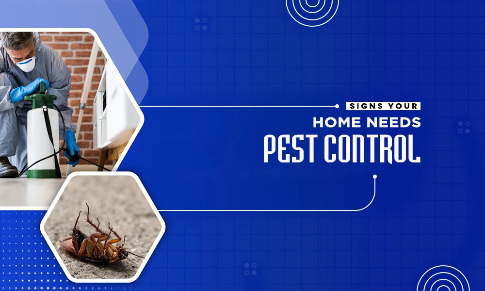 pest control