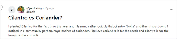 Cilantro vs Coriander Reddit query