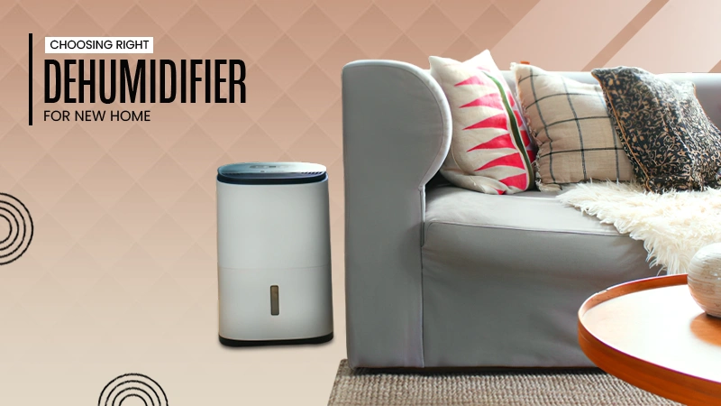 Dehumidifier for New Home