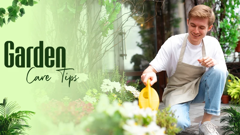 Garden Care Tips