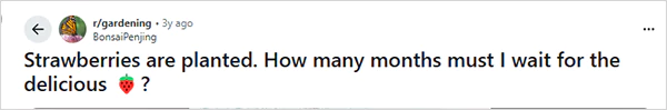 How Long Do Strawberries Take To Grow Reddit query