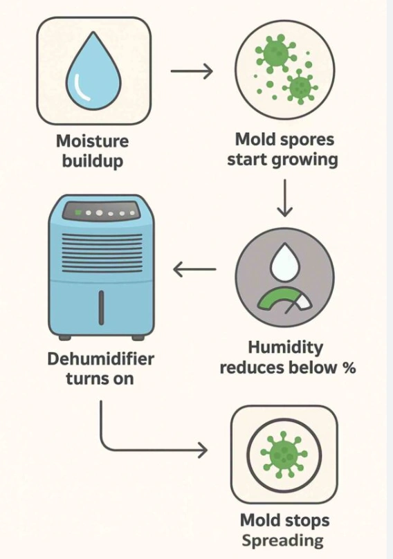 How dehumidification work