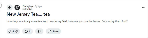 How to make a New Jersey Tea Reddit query