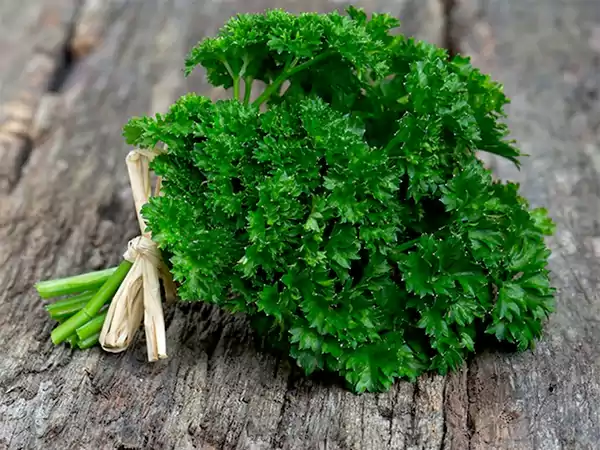 Parsley
