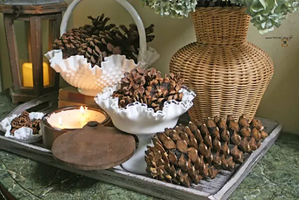 Pine cones