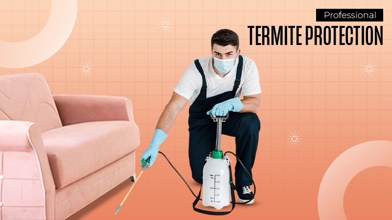 Professional Termite Protection
