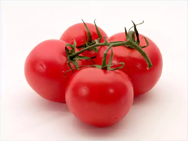 Tomatoes