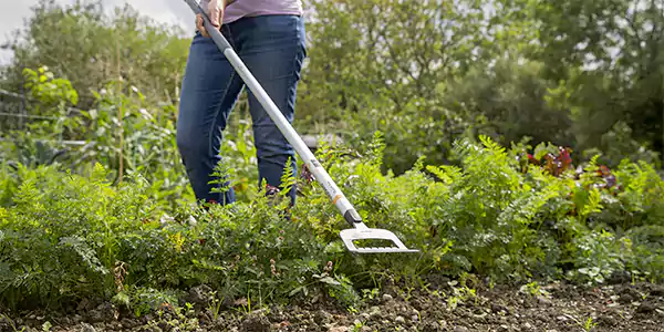 Weeding using a hoe