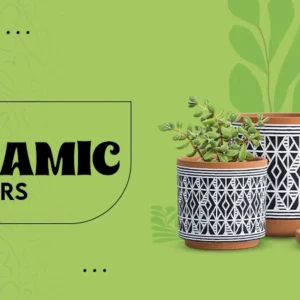 High Quality Ceramic Planters - Set of 2 - Offer Available for a Limited Time Period