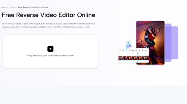 reverse video editor online