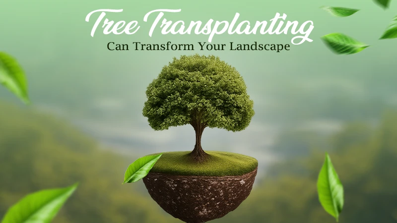 Transforming Landscapes with Trees