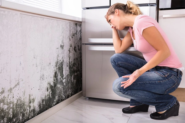 Causes of Moisture and Mold in Homes