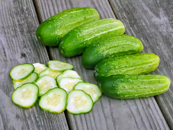 Chicago Pickling Cucumber
