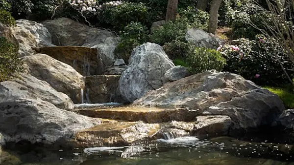 Pond Waterfall 