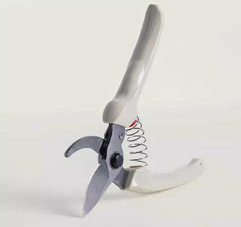 Pruning Shears