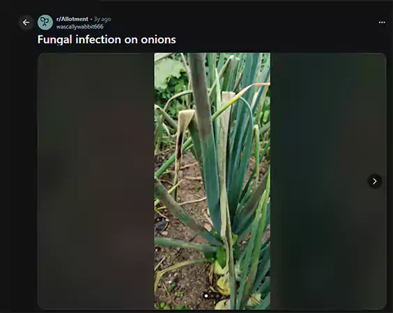 Reddit Post Screenshot