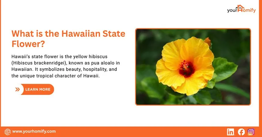 What is the Hawaiian State Flower