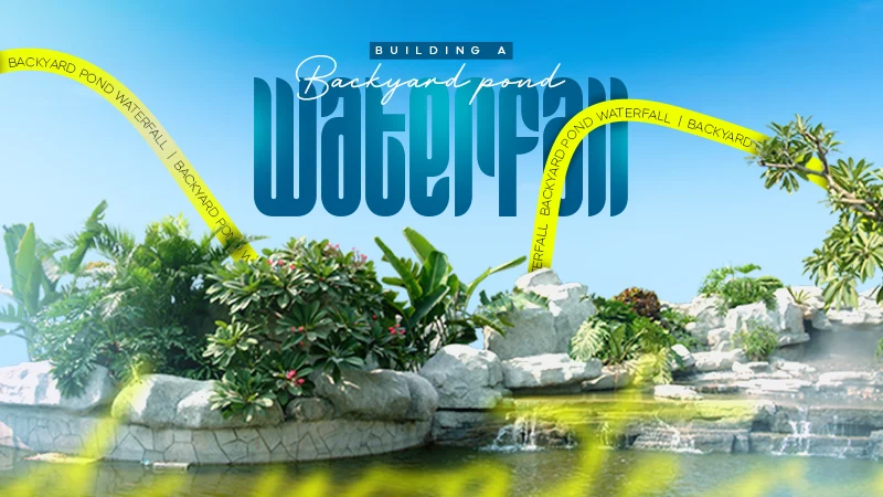 backyard pond waterfall