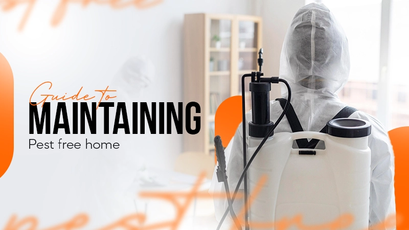 guide to maintaining pest free home