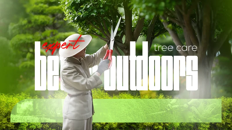 professional tree care