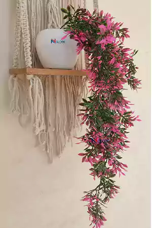 Hanging or Trailing Plants