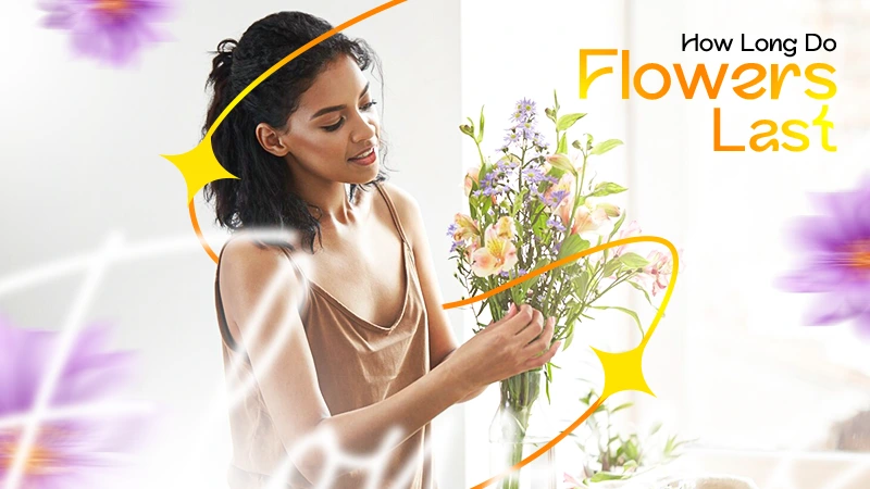 How Long Do Flowers Last