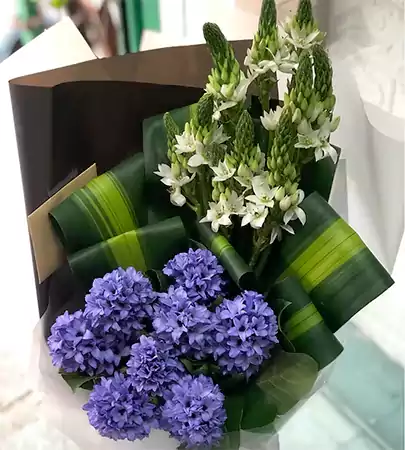 Hyacinthss