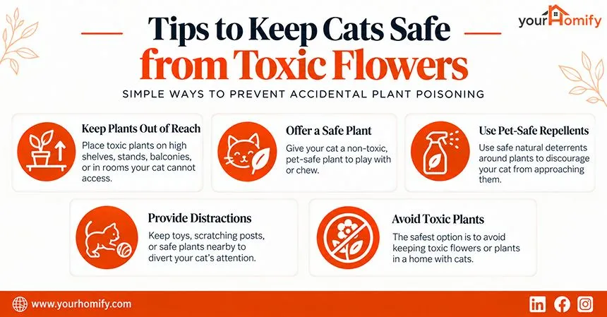 Tips To Keep The Cat Safe From Toxic Flowers