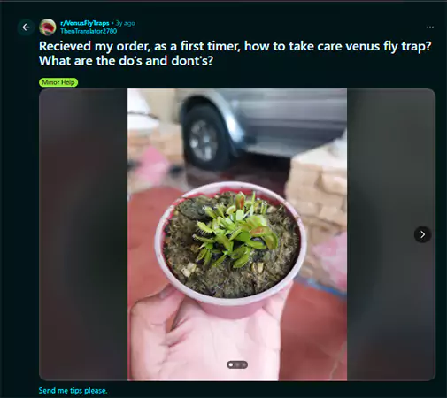 Venus Flytrap Care Guide Query Reddit Screenshot