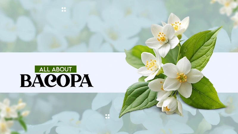 all about bacopa