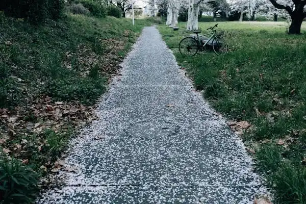 home improvement projects