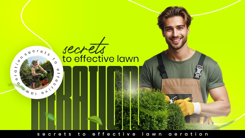 secrets to effective lawn aeration
