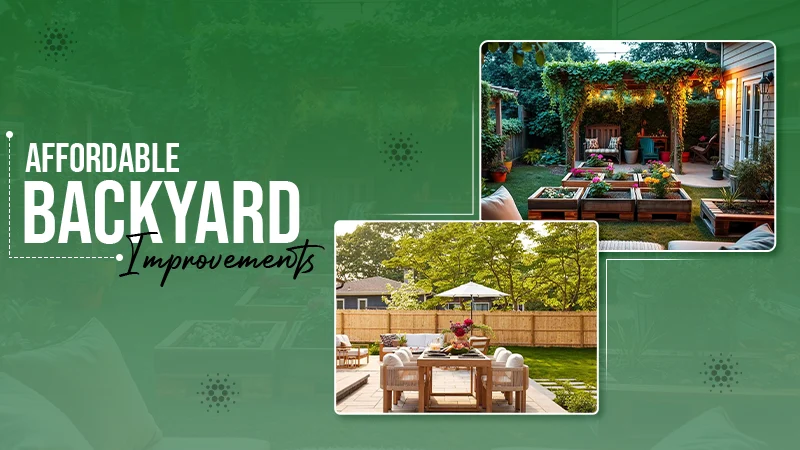 Backyard improvement