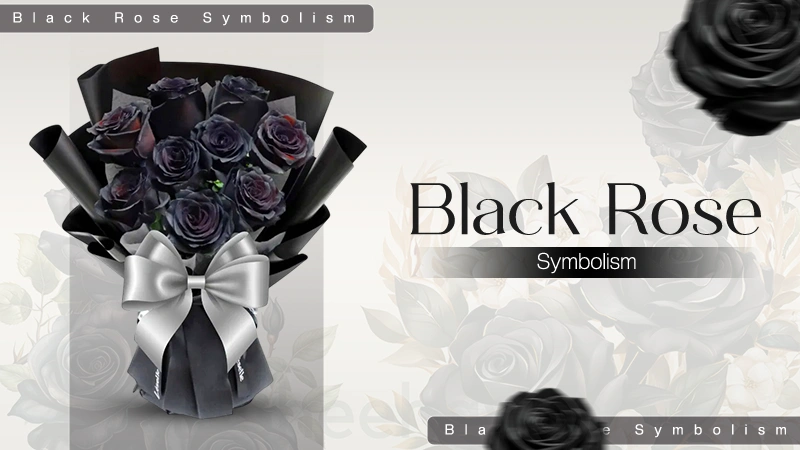 Black Rose