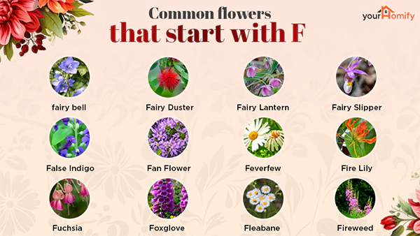 Flowers that start with f