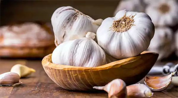 Garlic