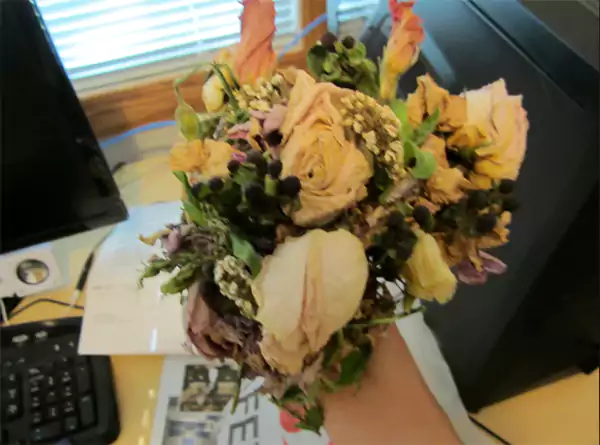 Help My cat ate some of these dying flowers and now has diarrhea Reddit queryy