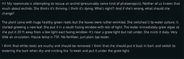 Help settle an orchid care debateee