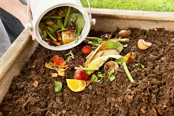 Homemade Garden Compost