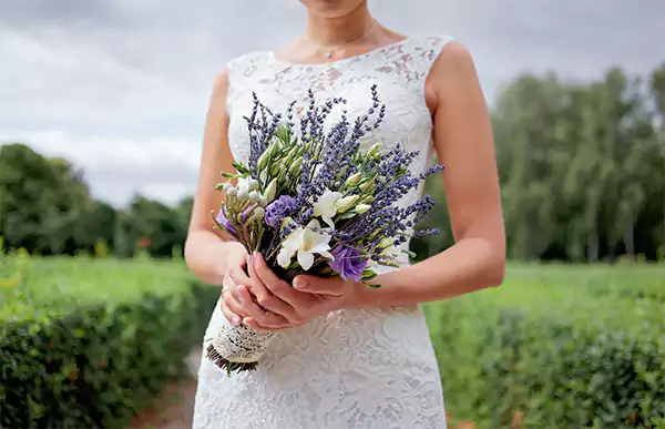 Lavender for wedding bouquet
