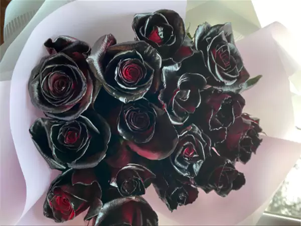 Ordered some black roses Are they supposed to look like this Did I get scammed Reddit queryy