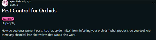 Pest Control for Orchids