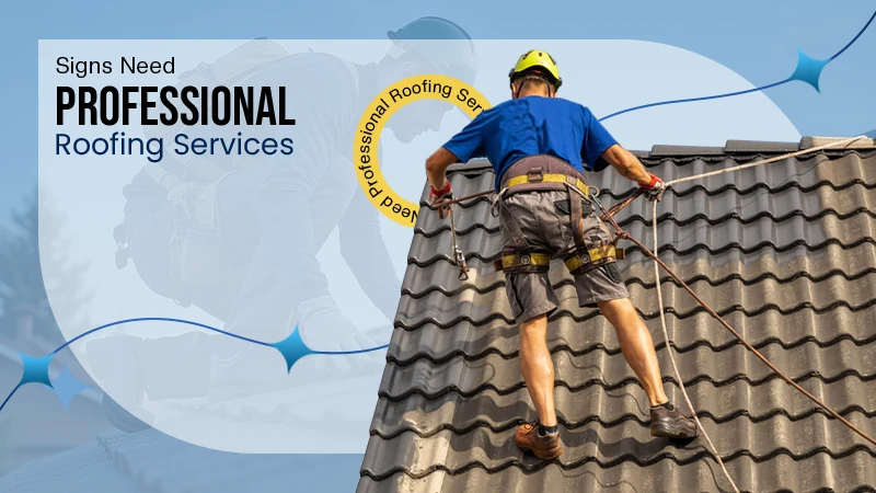 Professional Roofing Services